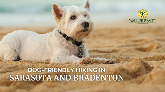 dog hiking