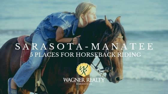 Sarasota-Manatee Counties Horseback Riding